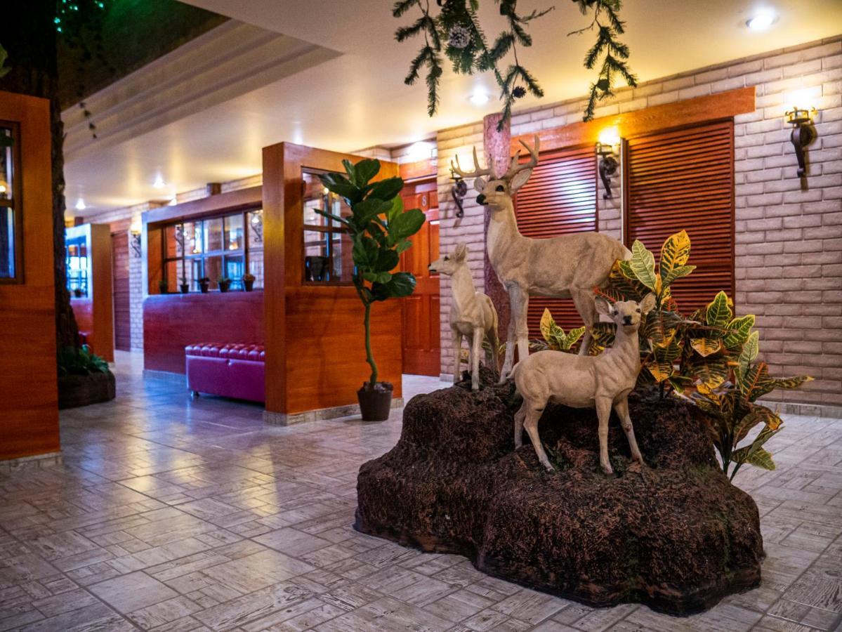Hotel El Condor Cortazar Exterior foto